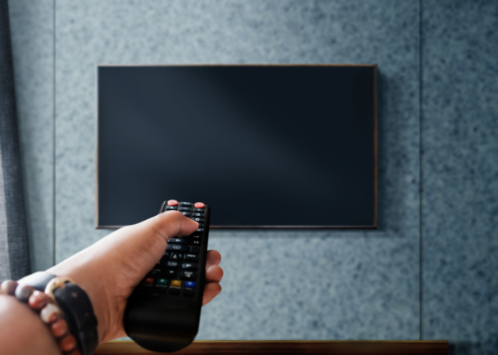 hand holding remote pointing at tv.