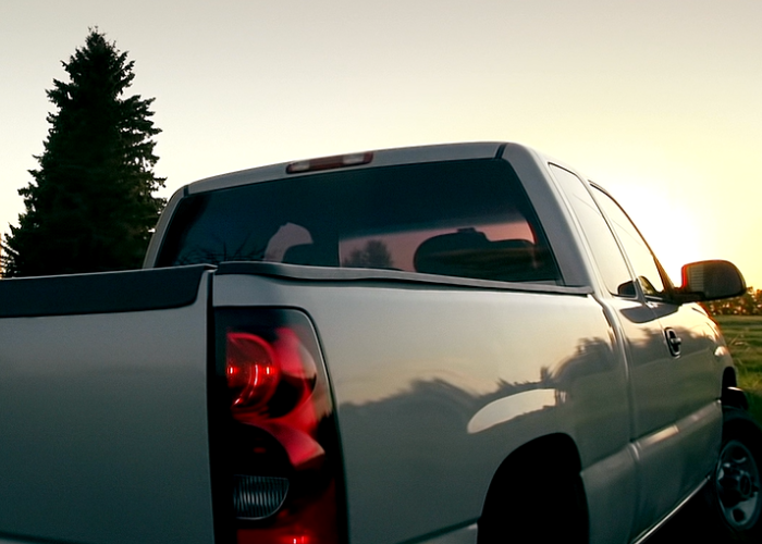 white silver pickup truck next to pine tree during sunset