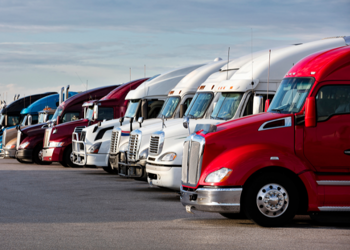 White, red, blue semitrucks on pavement.