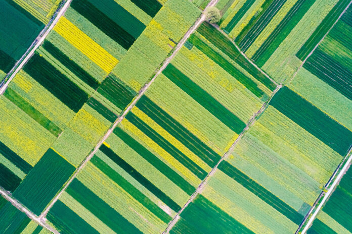 Image about Agriculture and Biotechnology Litigation