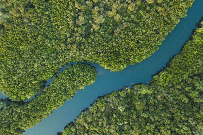 Image about Environmental Litigation