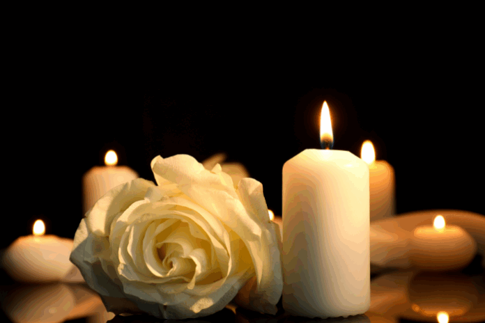 Image about DiCello Levitt Trial Team Members Bobby and Mark DiCello Att