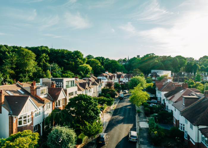 residential neighborhood full of houses green lively plants.