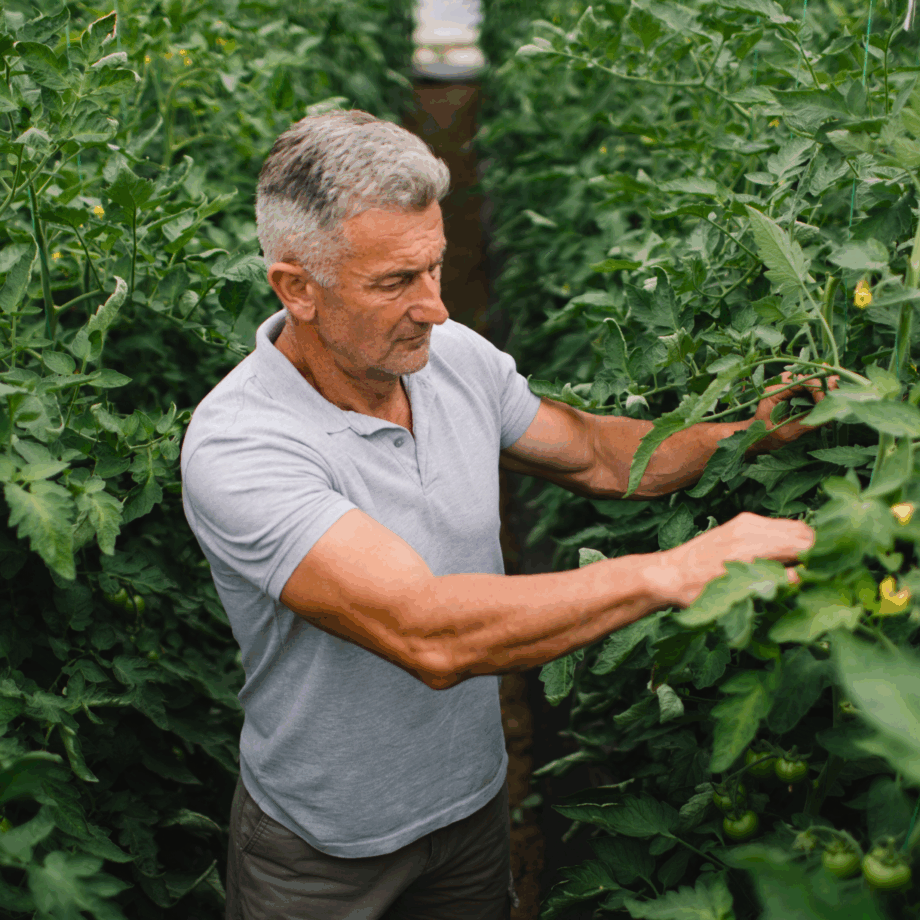 Paraquat Herbicide and Parkinson’s Disease