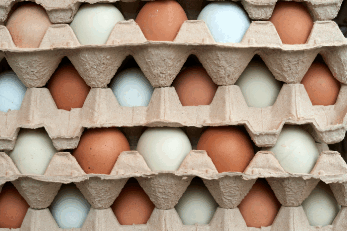 Image about DiCello Levitt, Co-Counsel File Class Action Alleging Price 