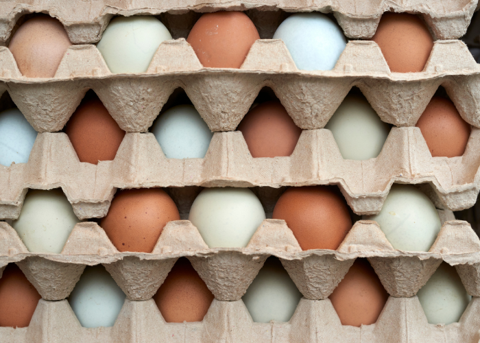 DiCello Levitt, Co-Counsel File Class Action Alleging Price Fixing in the U.S. Egg Industry