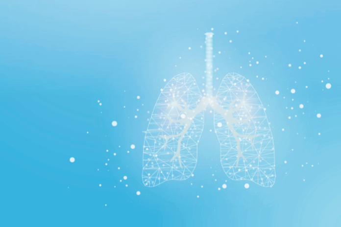 Image about DiCello Levitt Appointed Interim Co-Lead Counsel in Nationwi