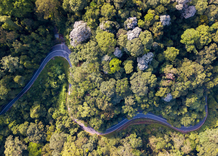 Two DiCello Levitt Partners Named Among Lawdragon’s 500 Leading Environmental Lawyers