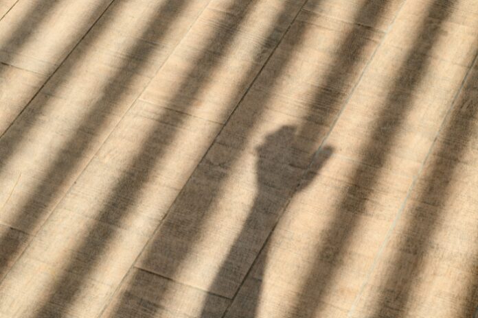 Image about Children the Law Incorrectly Calls Prisoners