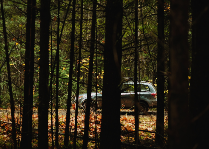 Image of 2012 Subaru Forester in the forest for release: DiCello Levitt and Co-Counsel File Class Action Against Subaru Over Alleged Subframe Rust and Corrosion