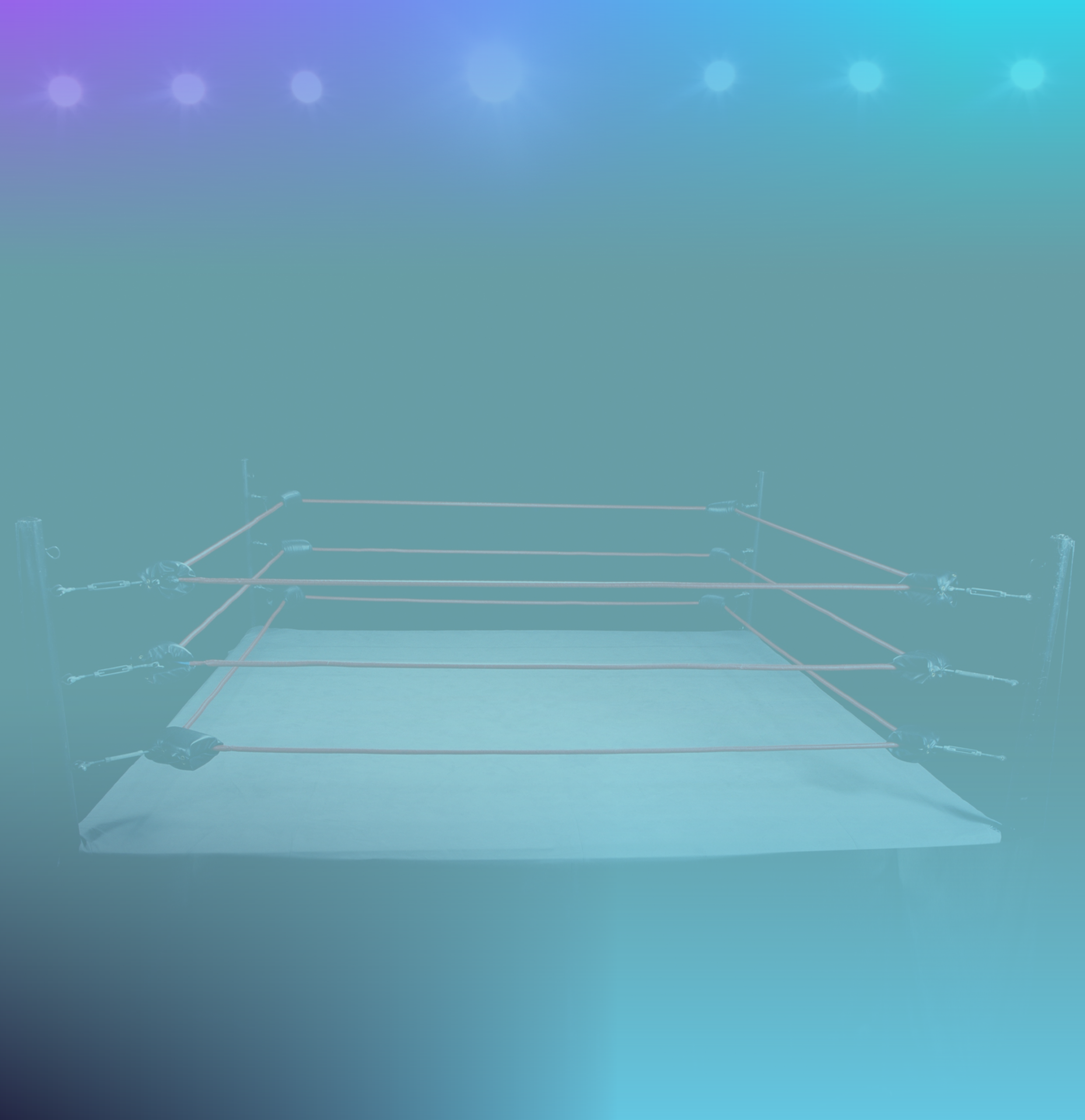 Federal Court Rejects Constitutional Challenge in WWE ‘Ring Boys’ Sexual Abuse Case
