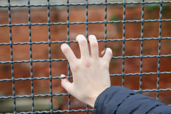 Image about Nevada Juvenile Detention Sexual Abuse Litigation