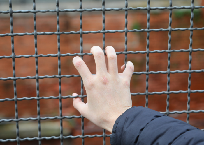 Nevada Juvenile Detention Sexual Abuse Litigation
